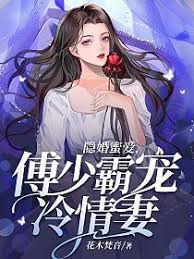 隱婚蜜愛，傅少霸寵冷情妻