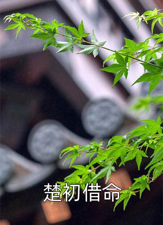 你們都說我弱？我直接無敵當世